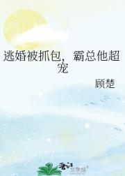 逃婚被抓包，霸总他超宠
