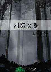 天域九州风云志