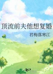 我搜一下乱世枭雄