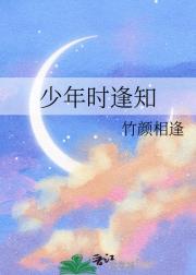 午后薰衣茶公主志