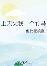 精英情人 朝小诚讲的什么