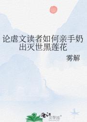 记忆之城多少集