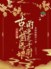 许我向你看番外佳节