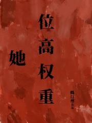 长风镖局视频