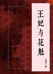 王妃与花魁