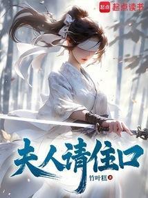 夫人请住手