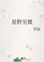 星野见微