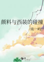臣妻简介