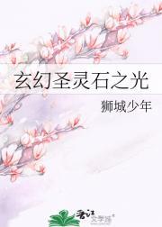 玄幻圣灵石之光