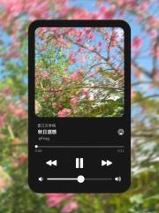 蒸汽之国的爱丽丝女主