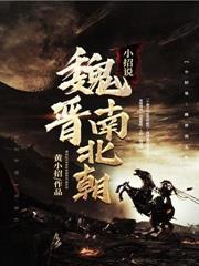 穿越明末当太子第二季