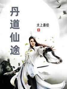 暴力和亲指南晋江