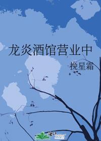 龙炎酒馆营业中
