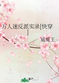 万人迷反派实录[快穿]