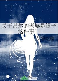 关于甚尔的老婆是银子这件事！