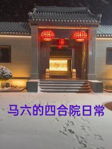 医见钟情晨雾的光讲的什么
