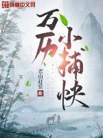 买个媳妇好过年在线阅读